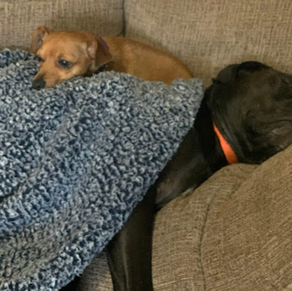 Meet your Posher, S - Picture 1 of 1